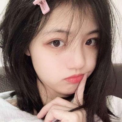 会飞的驴